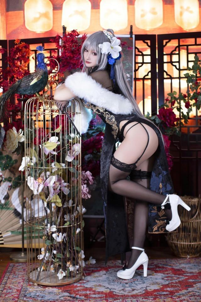 洛璃LoLiSAMA – NO.96 碧蓝航线 路易九世旗袍 [43P-457MB]-2